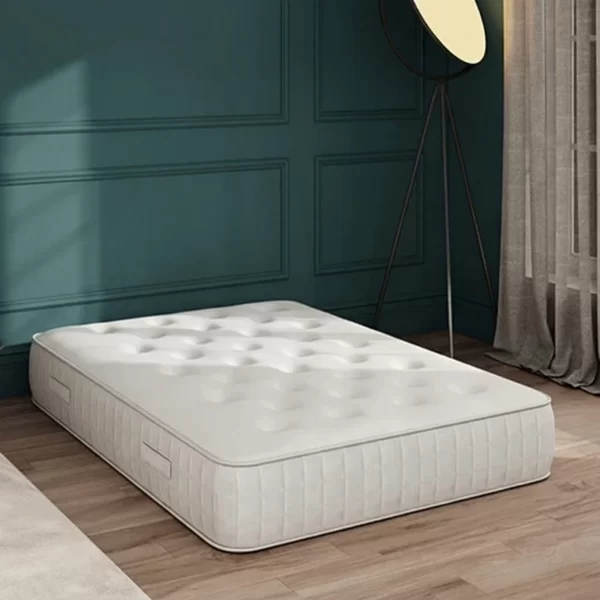 Backcare 2000 Mattress
