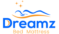 dreamz-logo